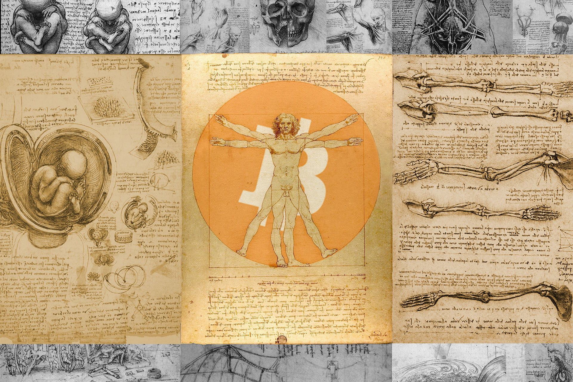 Technological Teachings of Bitcoin